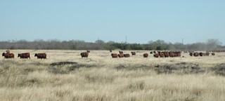 DSC_0200_edited